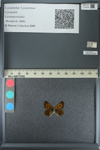 Media type: image;   Entomology 183586